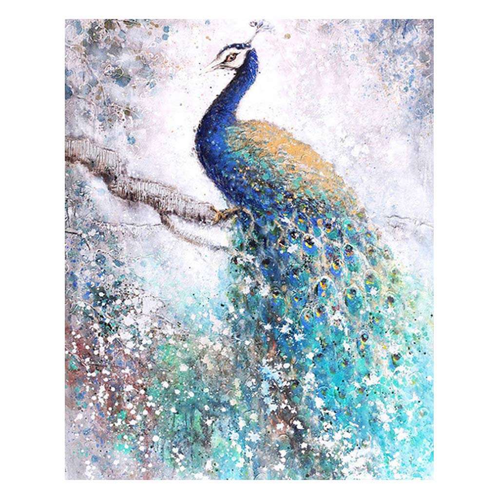 DCIDBEI (40x50cm) DIY 5D Square Diamond Painting by Number Kits for Adult Peacock Full Drill Rhinestone Embroidery Square Pictures Children Beginners Gift Arts Craft for Home Wall Decoration