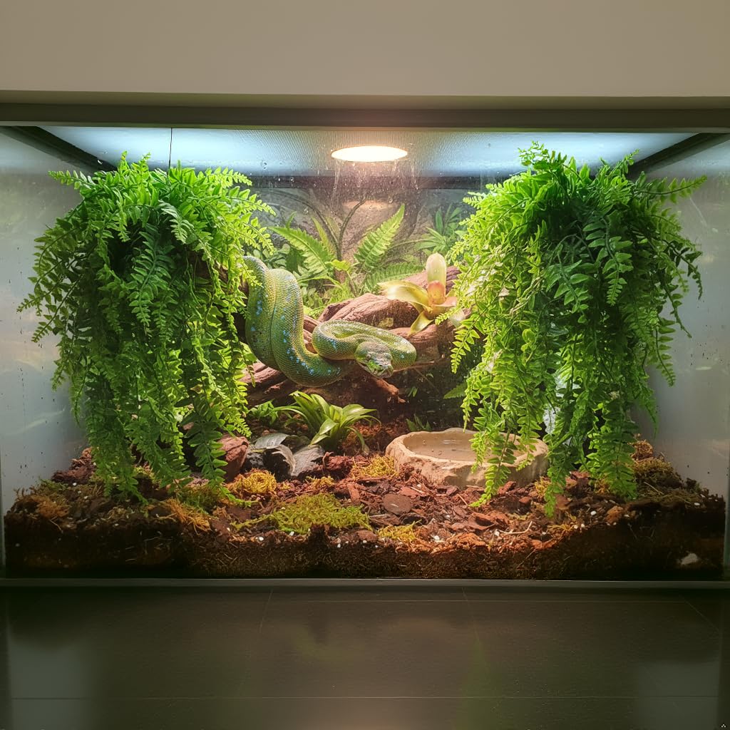 View 8