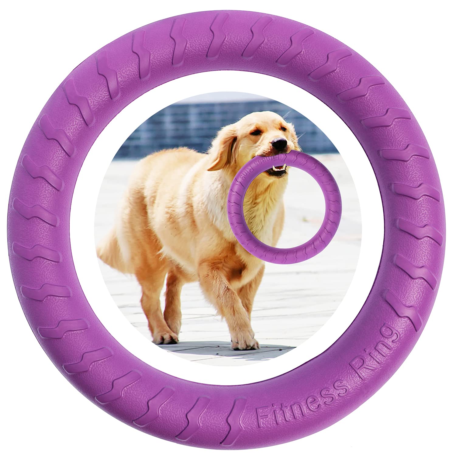 Purple Trumpet Dog Agility Exercise Ring - Outdoor Game for Small to Large Dogs