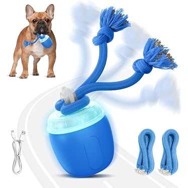 aggressive chew toys for dogs Starfish Ultra Durable Nylon Dog Chew Toy for Aggressive Chewers – SwiftPaws main image 1