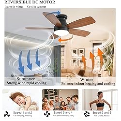 JSAITEE Ceiling Fans with Lights, 42 Inch Low