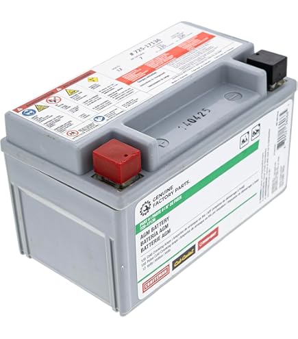 Amazon.com: CUB CADET 490-280-F016 135CCA 12 Volt AGM Battery Mini