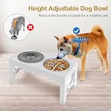 Polegas 3-in-1 Elevated Dog Bowl Stand with Slow Feeder White view 4