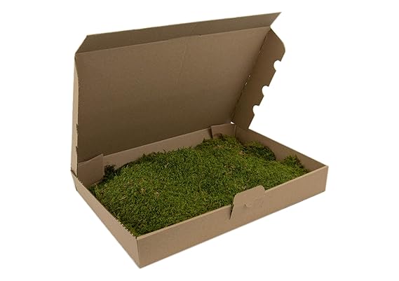 Flachmoos Moosmatte Moosplatte Plattenmoos Natur Deko Moos echtes Moss Osterdeko Frühlingsdeko Deko-Moos frisches Natur Moos