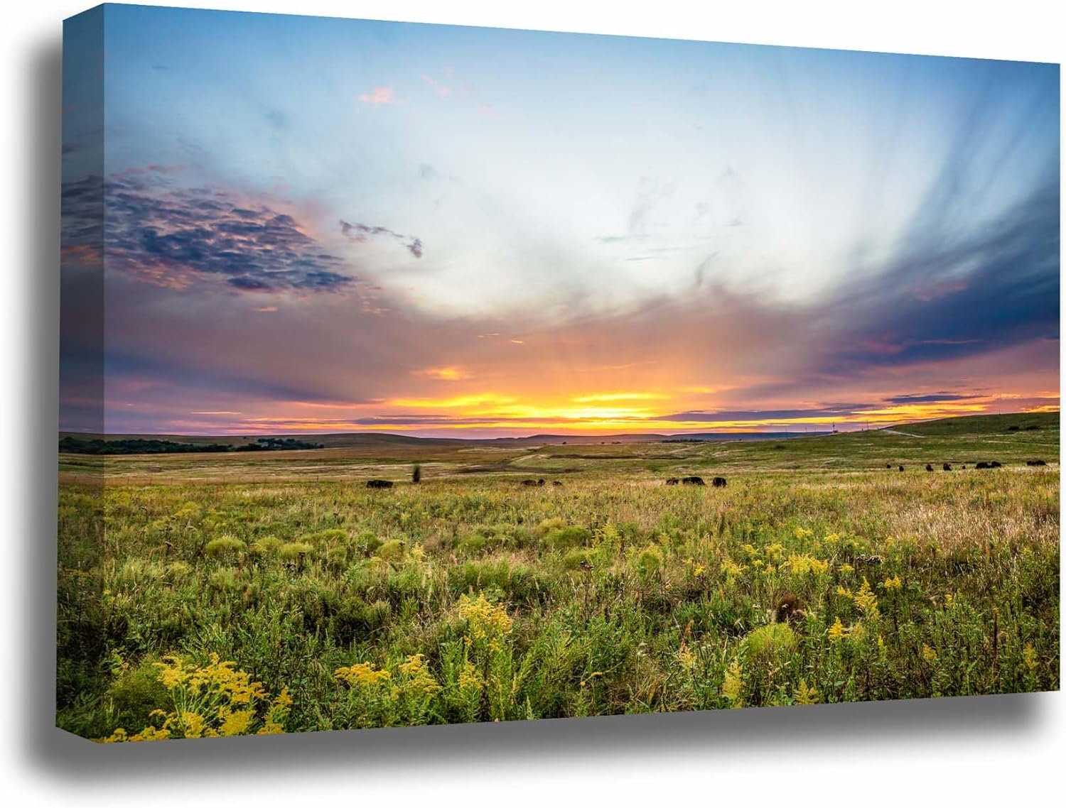 Photographs - Great Plains Canvas Wall Art (Ready to Hang) Gallery Wrap of Scenic Sunset Over Tallgrass Prairie on Autumn Evening in Oklahoma Landscape Photography Western Decor (1.5, 30
