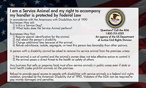 american with disabilities act 1990 service animals