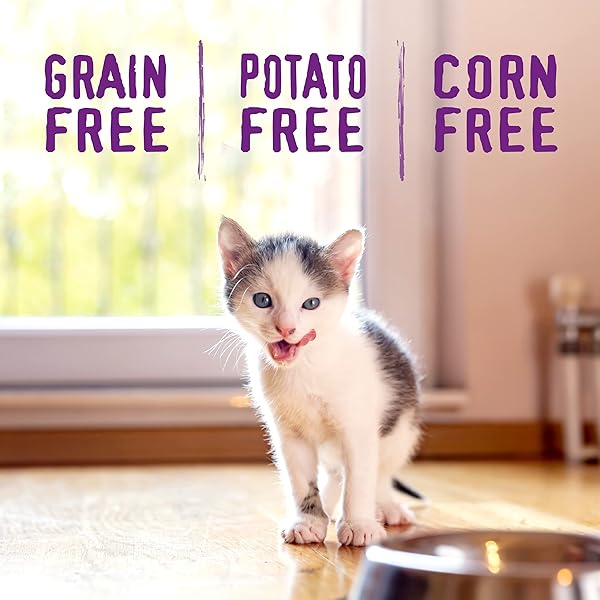 STELLA & CHEWY’S RAW COATED PREMIUM KIBBLE CAT & KITTEN FOOD – GRAIN FREE, PROTEIN RICH MEALS – CAGE-FREE CHICKEN FOR KITTENS RECIPE – 2.5 LB. BAG