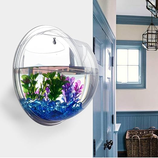 wall mounted fish tank