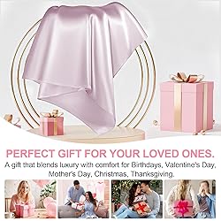 Mulberry Silk Pillow Cases 2 Pack King Size 20x36