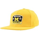 Michigan Wolverines NCAA Officially Licensed Fitted Hat M15Z Switchback Secondary Color, Large