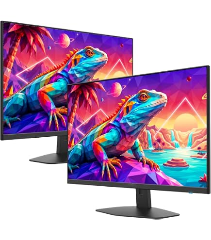 Amazon.com: HP P224 21.5 Inch Monitor 2-Pack Bundle with Desk