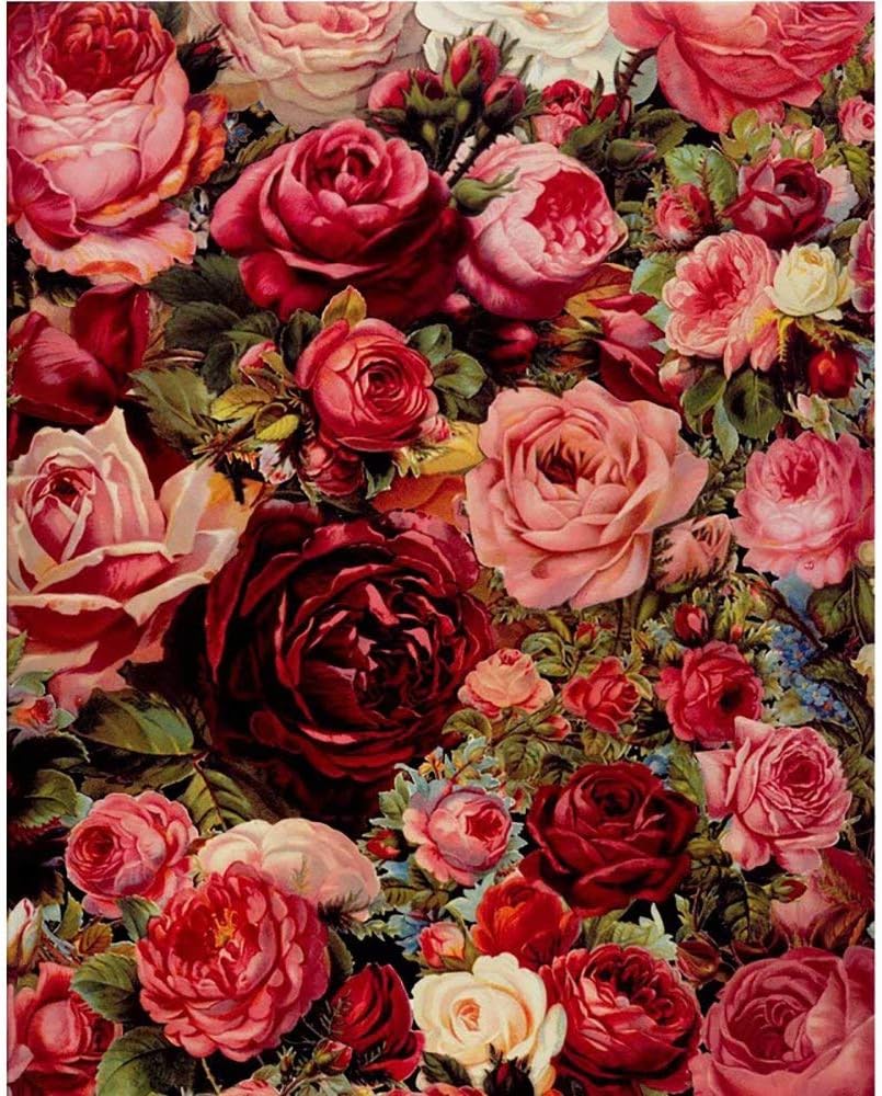 DIY Painting by Numbers for Adults, Paint by Number Kit On Canvas for Beginners, New Painters, Gift Package - Red Rose 16" x 20"