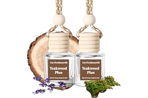 Burst Bird Car Air Freshener Hanging,Cute Air Diffuser for Car, Long Lasting Car Air Fresheners, Car Fresheners for Women, Made in USA(2 Pack)