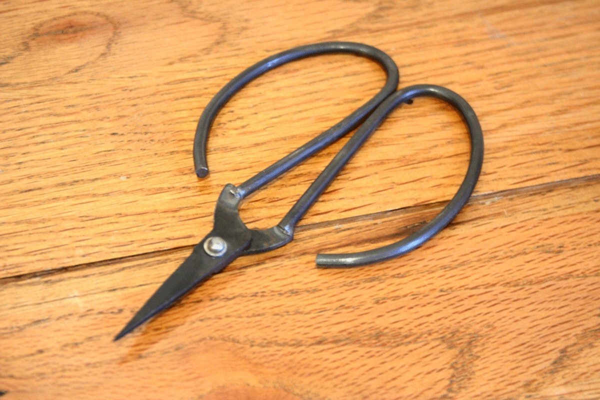 BEGINNERS BONSAI SCISSORS Amazon.co.uk Garden & Outdoors