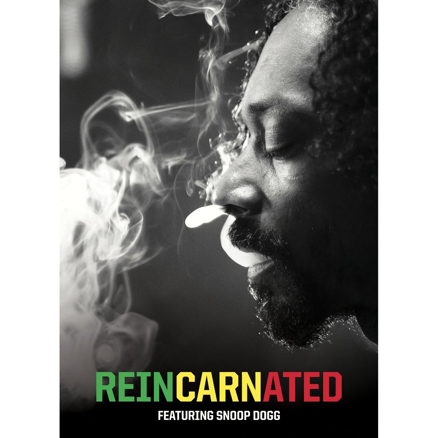 Amazon Com Reincarnated Snoop Lion Movies Tv