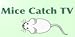 Mice Catch TV