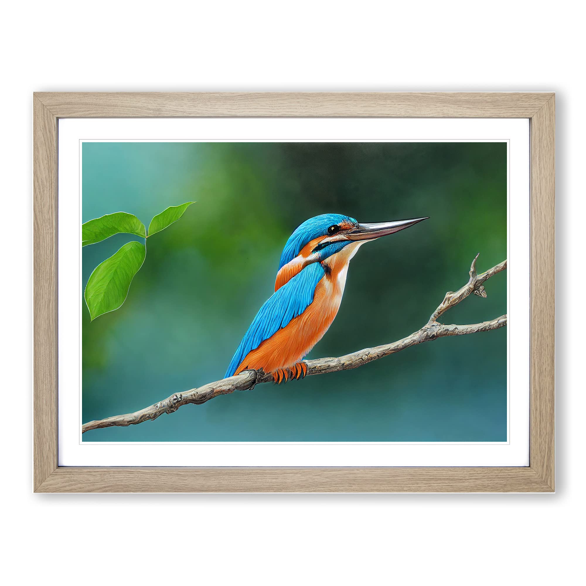 Evocative Kingfisher Bird Framed Print | A4 Oak Framed Wall Art | Ready to Hang | Modern Nature Picture | Living Room Bedroom Lounge Office
