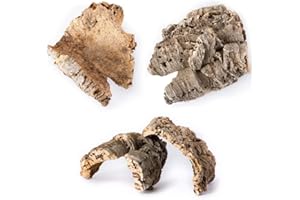 Galápagos (05501) Natural Cork Bark for Reptiles – Ideal for Bearded Dragons, Snakes, and Geckos – Climbing Accessory for Ter