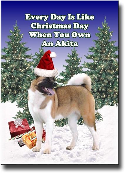 akita christmas