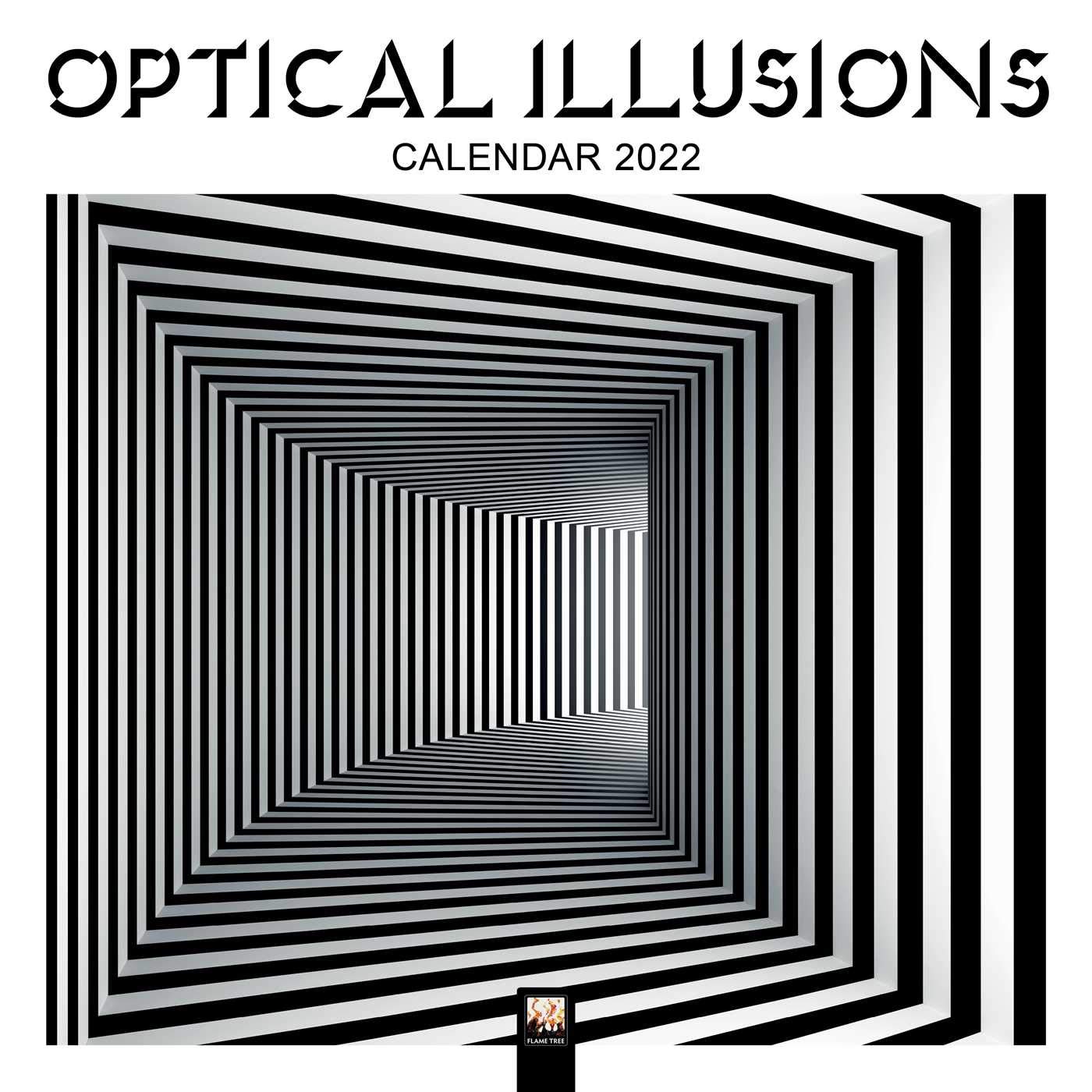 Amazon.com: Optical Illusions Wall Calendar 2022 (Art Calendar): 9781839645273: Flame Tree Studio: Books