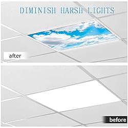 SCWISOAS Fluorescent Light Covers for Ceiling