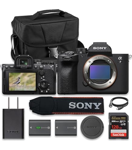 Amazon.com : Sony a7 IV Mirrorless Camera ILCE-7M4/B, 64GB Memory