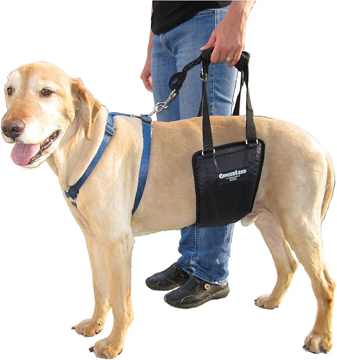 GingerLead Dog Support & Rehabilitation Harness Medium/Large Dog Sling