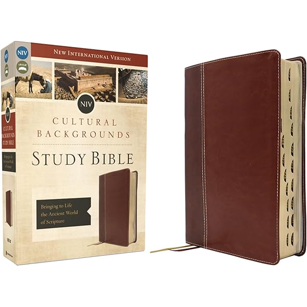 NRSV, Cultural Backgrounds Study Bible, Leathersoft, Tan/Brown