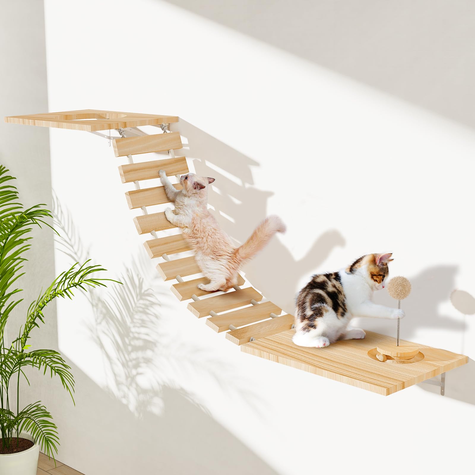 Photo 1 of Chuiendi Cat Wall Hammock, Wall Mounted Bridge with Track Toy Ball & 3 Hanging Ball, Pet Ladder Wide 10"" Long 29"" for Climb, Perch, Activity, Easy Install Wooden Cats Steps Hammock Tree Shelf