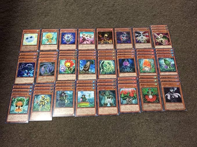 Amazon 遊戯王 森羅 デッキパーツ 計101枚 エクストラデッキ有り Ex