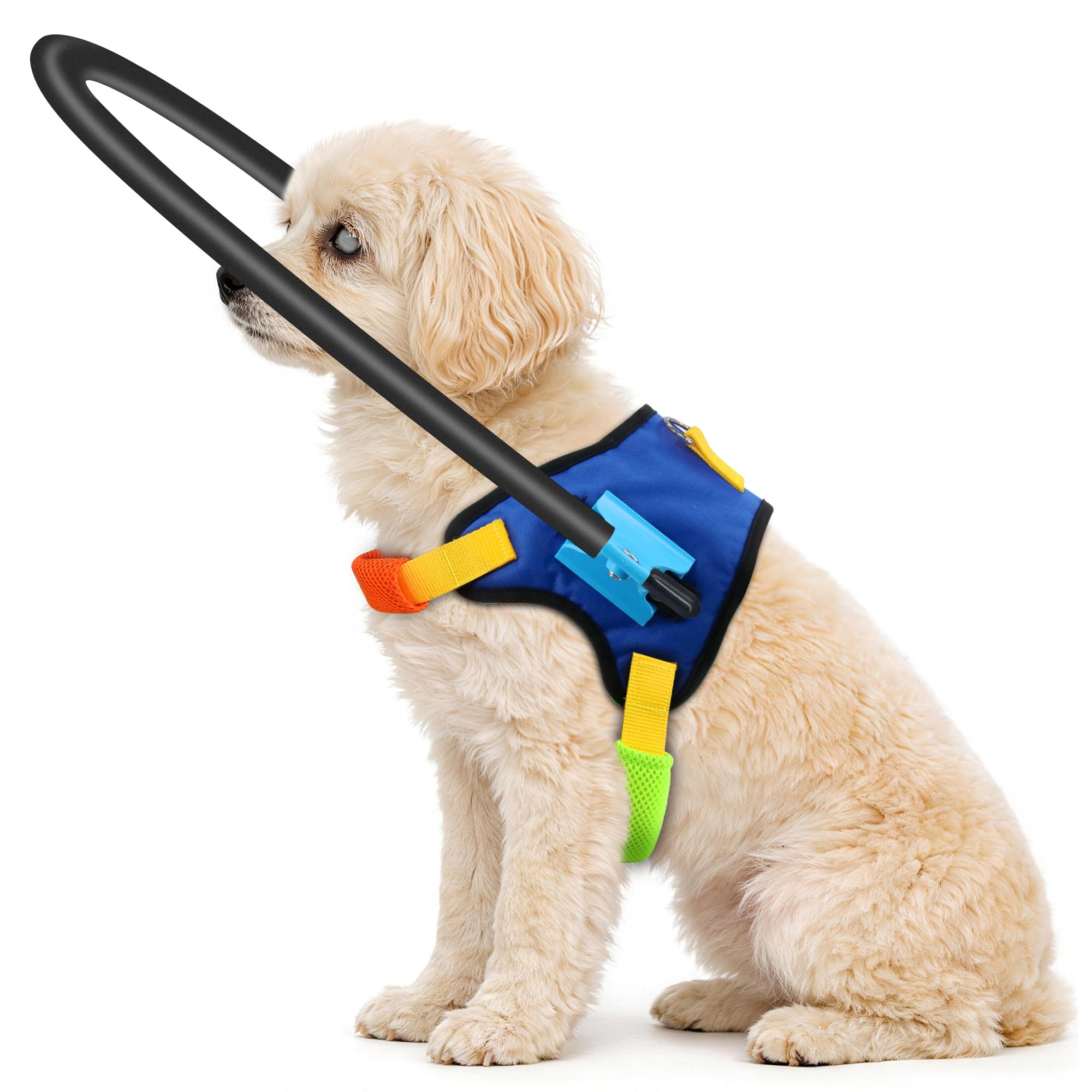 Photo 1 of LetPetRun Blind Dog Halo Harness, Adjustable Protective Halo Collar for Blind Dogs,Navigation Assistance for Visually Impaired Pets (S for 11.5-15.5in)