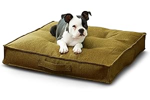 South Pine Porch Mila Square Tufted Pillow Style Dog Bed, Moss, Small (24" x 24")