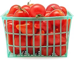 Organic Cherry Tomato, 1 Basket