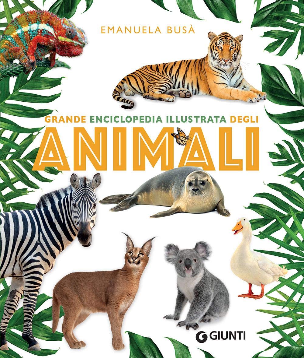 Libro Grande enciclopedia illustrata degli animali (italiano) copertina rigida – giunti editore 978-8809884427