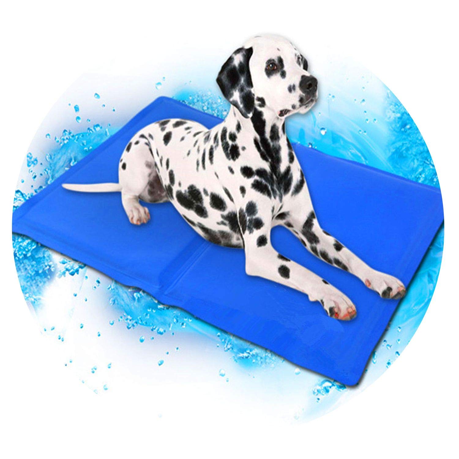 The 10 Best Bissell Petmate