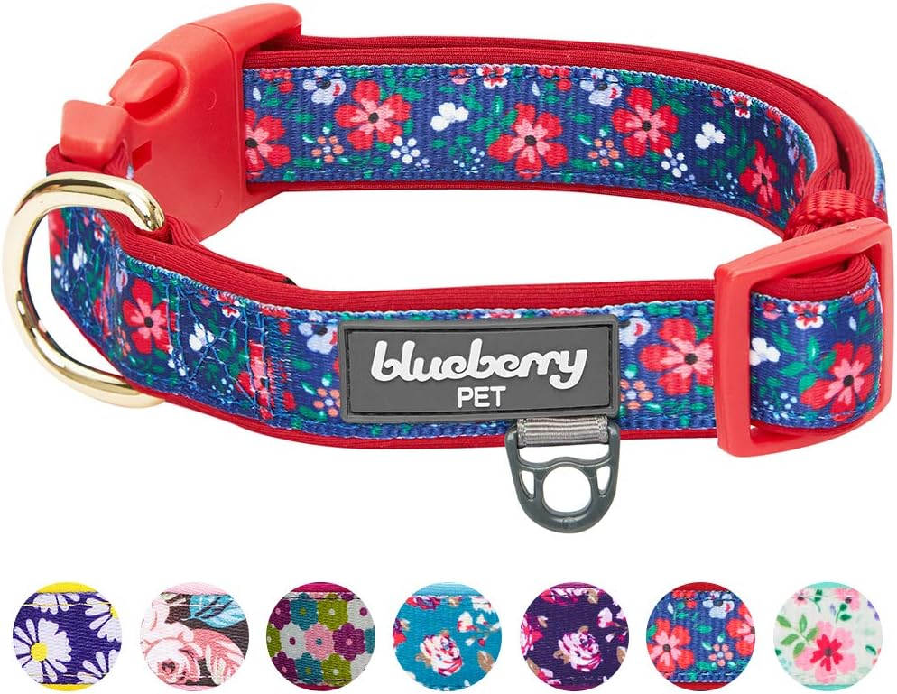 Blueberry Pet 7 Patterns Soft & Comfy Rose Flower Prints Girly Padded Adjustable Dog Collar, Large, Neck 18"-26" : Pet Supplies