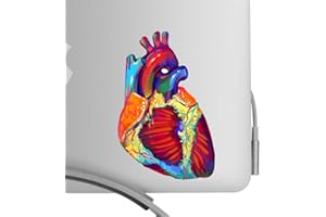 BENT WOOKIE Beautiful Human Heart Artistic Full Color Post Impressionist Painted Style 5 Inch Decal -Fits All MacBooks or Any Laptop-for Indoor or Outdoor Use
