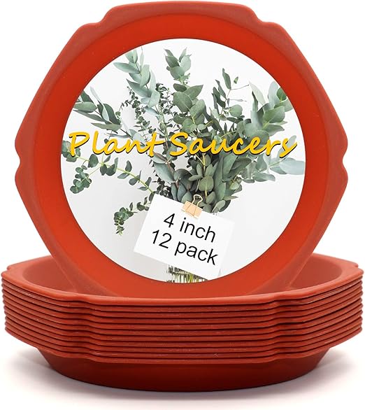 foxany 4 inch Plant Saucers, 12Pcs Clay Color foxany 4 inch Plant Saucers, 12Pcs Clay Color