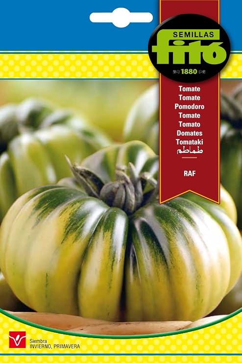 Semillas Fitó 6235 - Semillas de Tomate Marmande RAF: Amazon.es ...