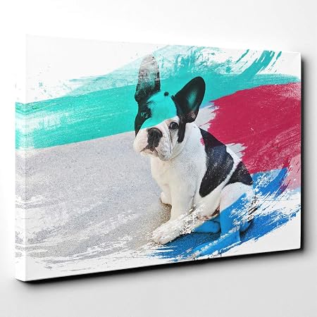Arty Pie Noir Et Blanc Bouledogue Français Chien V2