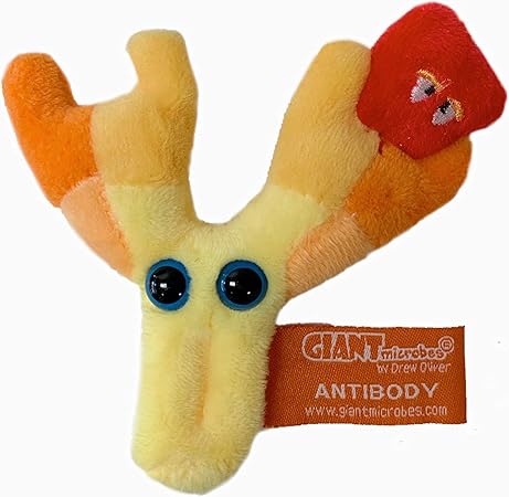 giant microbes antibody