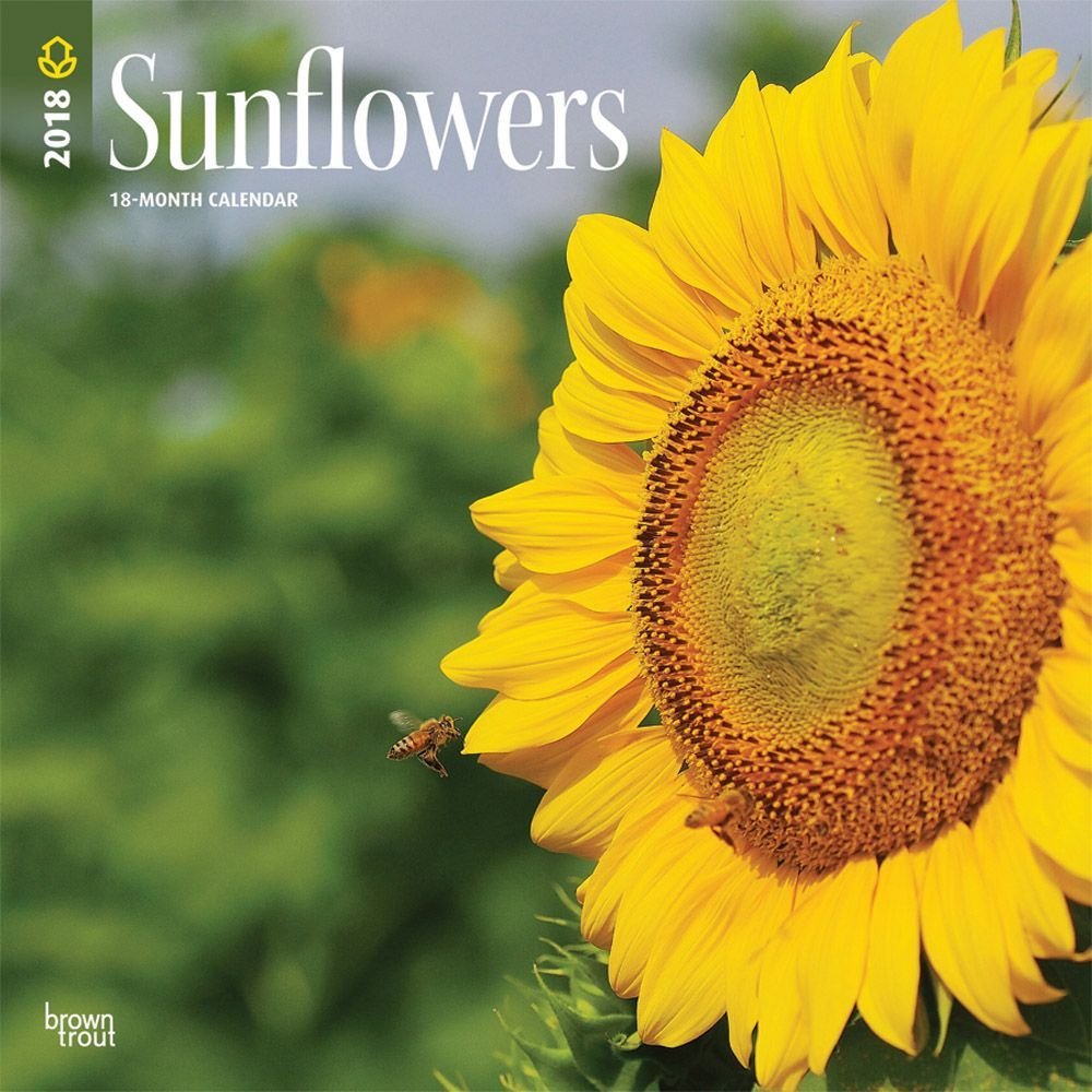 Sunflowers 2018 Wall Calendar