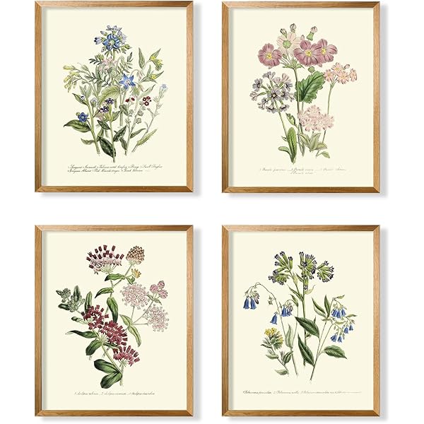 BOTANICAL ART 【import品】 Plant Models Vol 78 - Maxtree