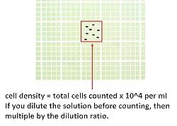 Microyn Improved Neubauer Hemocytometer, Cell