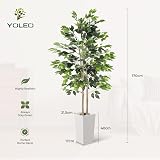 YOLEO 5.5ft Ficus Tree with White Planter Indoor Decorative Plant view 3