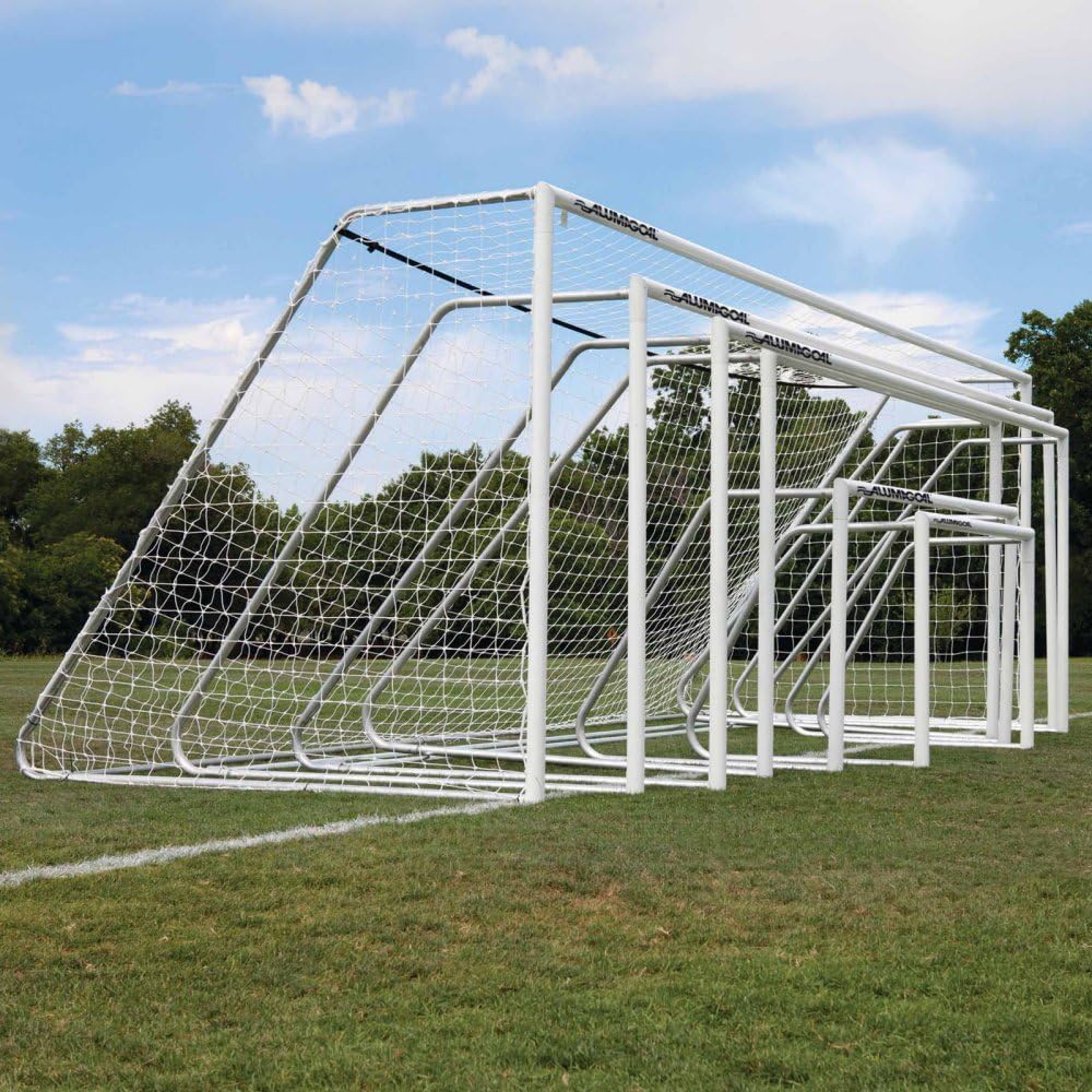 3" Classic Alumagoal 6.5'X12' NATURAL (PR)