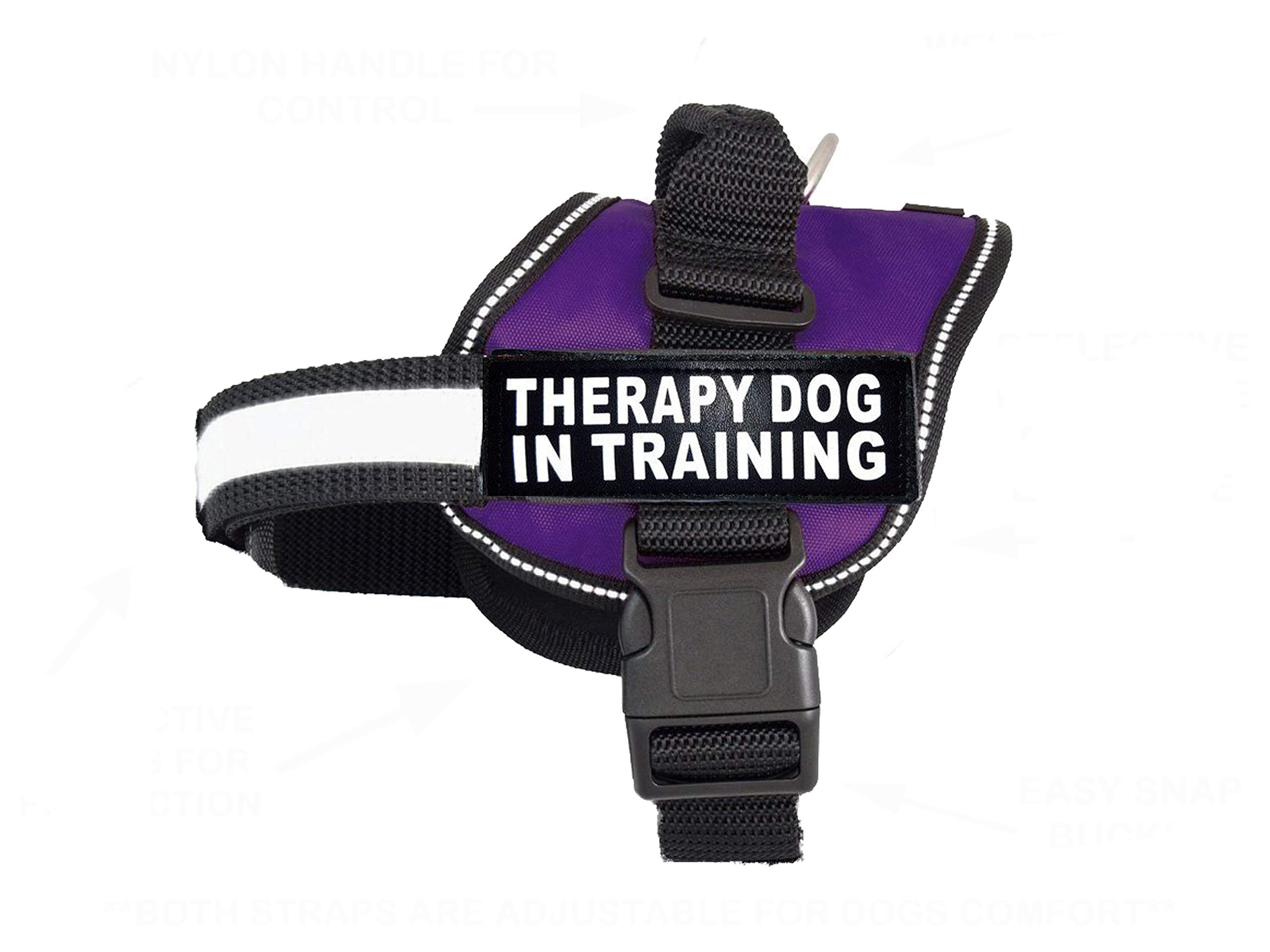 Doggie Stylz Therapy Dog in Training Nylon Dog Vest Harness. Purchase Comes with 2 Reflective Therapy Dog in Training pathces. Please Measure Your Dog Before Ordering (Girth 30-42", Purple)