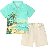 Coco&RARA Toddler Boy Clothes Baby Flamingo Hawaiian Outfits Short Sleeve Shirt + Elastic Waist Shorts Summer Beach Set