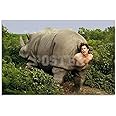 Ace Ventura Rhino Canvas Art, Funny Jim Carrey Movie Art for Bedroom - 12x8 inch, Unframed