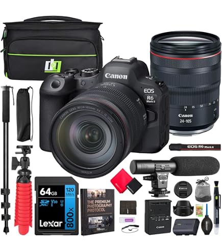Amazon.com : Canon EOS 6D Mark II DSLR Camera (Body Only